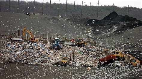 pierre landfill|Iba pa.